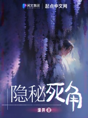 隐秘死角小说TXT下载