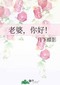 老婆你好甜全文免费读