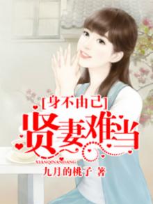 贤妻不贤小说