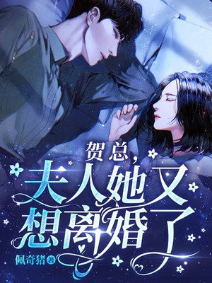 贺老总夫人
