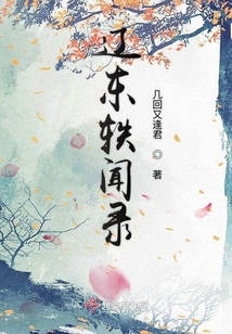 辽东轶闻录 怎么样