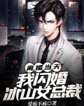 离婚当天，我闪婚冰山女总裁