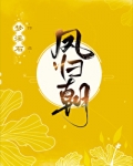 凤归朝 小说 梦溪石
