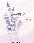 飞来横犬 巫哲