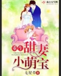 重生甜妻小萌宝全文阅读