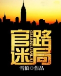 官路迷局 小说