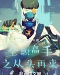 全职高手之从头再来