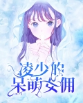 冷少的呆萌妻