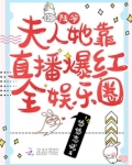 陆爷，夫人她靠直播爆红全娱乐圈