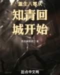 重生八零从知青回城开始下载