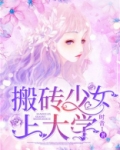 搬砖少女上大学 作者:时音