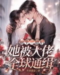偷生三崽后，她被大佬全球通缉