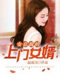 女总裁的上门女 婿
