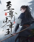 至尊少年王百度百科