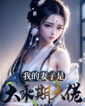我的妻子是大乘期大佬女主有几个