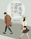 你原来是这样的叶先生免费全文