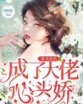 科技大佬穿书年代文