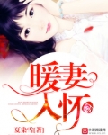 暖妻入怀禁欲老公放肆宠写的什么