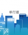单行道逆行抓拍规则