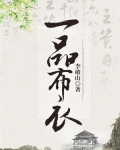 一品布衣txt