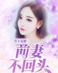 前妻不复婚全本阅读