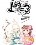 上神来了女主什么身份
