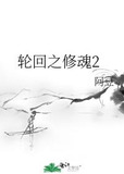 轮回之修魂2