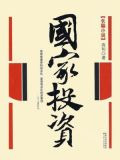 国家投资